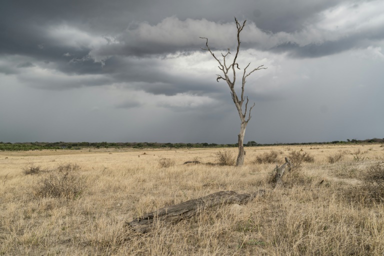 El Nino raises food security risk in southern Africa FAO